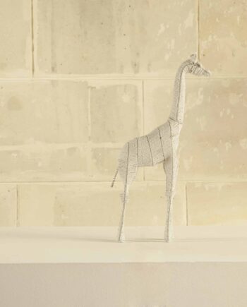 Girafe, Afrique du Sud