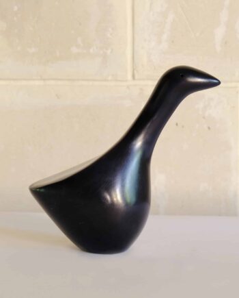 Goose, black, Kenya