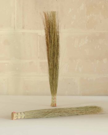 Zulu Swipping Brush, South Africa