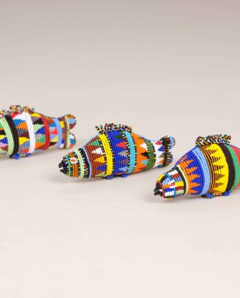 Poisson, Afrique du Sud